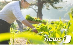 셰프가 농사짓고, 요리도 만드는 호텔?