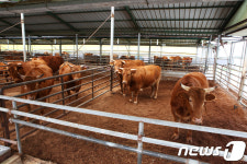 장수군, 축사 12개소 악취 기준 초과 여부 등 점검