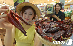 햇 건고추 예약판매해요