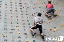 도심에서 배우는 암벽오르기…성동구 무료 등반교실