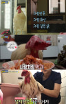 ‘하하랜드’ 사람 같은 닭 아리, 김치에 푹 빠졌다 ‘귀여워’