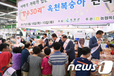 옥천복숭아 어때요?