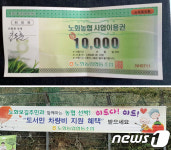5천원 상품권 갈등…땅끝∼완도노화 뱃길서 무슨 일?