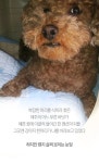 [펫카드]부러지고 멍들고…학대받던 똘이 이야기