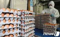 [살충제 달걀]3일 넘기면 생산중단…제과·제빵업체 비상
