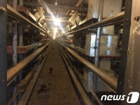 비좁은 닭장·악취·지저분한 주변…친환경 농장이라더니