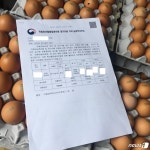 비좁은 닭장·악취·지저분한 주변…친환경 농장이라더니