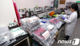 연구소로 모인 달걀, 내일까지 전수조사 실시