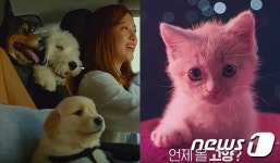 누가 더 귀엽개·귀엽냥?…쉐보레 강아지vs스타필드 고양이