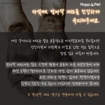 [올어바웃펫] 당신 강아지의 발은 안녕한가요
