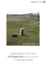 [펫카드]새끼만 낳다가 버려진 우도 도담이