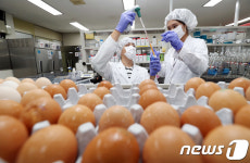 [살충제 계란]경북 산란계 농장 4곳서 살충제 검출