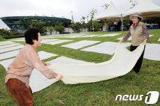 제주 감물 들여요