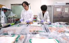 [살충제 계란]익산지역 산란계 농장 6곳 식용란 적합