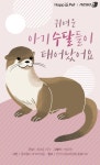 [펫카드] "귀여운 아기수달들이 태어났어요"