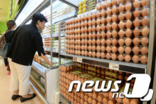 [살충제 계란] 논산 친환경 산란계농장서 살충성분 검출