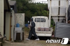 논산 산란계농장서 피리다벤 도내 첫 검출(종합)