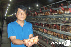 [르포]화순 동면 양계단지 닭 모이 공급 절반 줄여