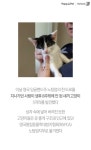[펫카드] 하루 2번 구조된 자유바라기 고양이