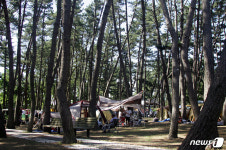 보령·서천지역 해수욕장, 개장 2개월간 1600만 인파