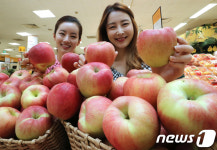 영농조합법인오대사과작목회 | '올해 첫 햇사과 맛보세요'