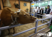 (유)황소축산식품 | 농림식품산업 박람회 전시장에 나타난 황소