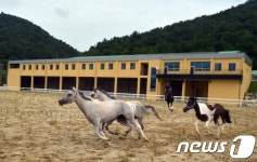 순창 공공승마장 10월 개장…체류형 관광코스 개발