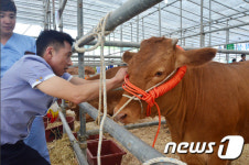 강원축산경진대회 사람과 동물이 함께 행복한 강원축산업 육성
