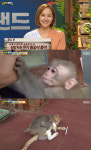하하랜드 천방지축 아기 원숭이 몽이, 유진 딸 로희 보는 듯
