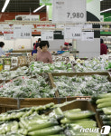 채소 고르는 시민들