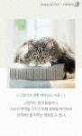 [펫카드] 왜 고양이는 창밖을 바라보는 걸까