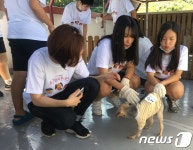 포근하개 봉사단, 두 번째 유기동물보호소 봉사활동 실시