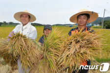 올 농사 대풍이네!