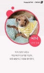 [펫카드] 포근하개가 만난 유기견을 소개합니다