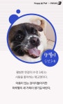 [펫카드] 포근하개가 만난 유기견을 소개합니다
