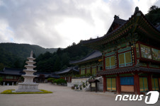 [올림픽 관광로드⑨] 마음의 평안 그리고 힐링…강원도 템플로드