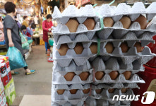 살충제 여파로 계란값 폭락
