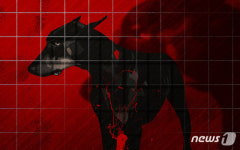 40대 부부 공격한 대형견들…알고보니 산짐승 잡던 사냥개