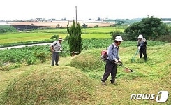 충북농협, 추석명절 벌초대행 서비스 시작