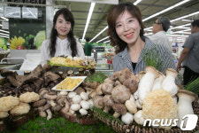 명절 앞두고 버섯 모음전