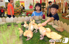 [포토]한우 먹으러 가자…장수 한우랑사과랑축제