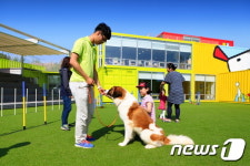 추석 황금연휴, 반려동물과 갈 수 있는 펫플레이스는?