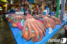 손님 기다리는 문어!