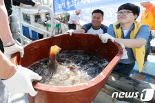 싱싱한 서해5도 활어가 왔습니다