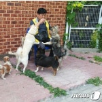 [뚱아저씨의 동행] 유기견 출신 여덟 아이들을 소개합니다