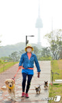 [반려동물과 놀아주세요]③남산·서울숲 공원 산책하기