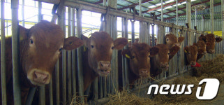 전남도 2022년까지 깨끗한 축산농장 1000호 조성