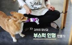 [반려동물과 놀아주세요]⑤초간단 재료로 장난감 만들기