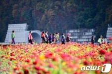 [내고향 여행지②] 추석연휴 가볼만한 곳 : 강원도
