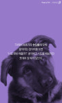 [펫카드] 앉아 엎드려 빵! 손을 이용한 행동 유도